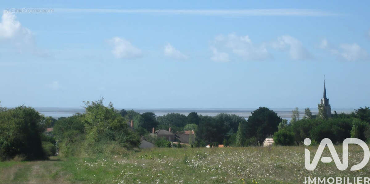 Photo 2 - Terrain à LES MOUTIERS-EN-RETZ