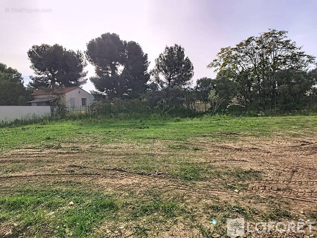 Terrain à LA FARE-LES-OLIVIERS