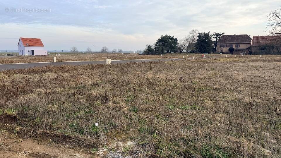 Terrain à BERGHOLTZ