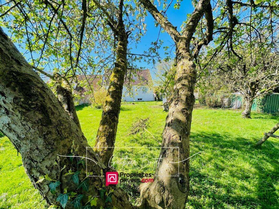 Maison à COULOMMIERS