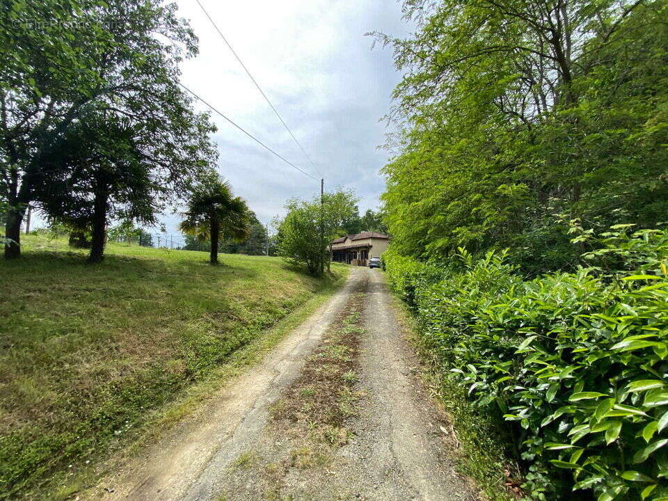 Ancienne Longère de Caractère  113,65 m²  sur 1,36 ha  Eauze - photo 22
