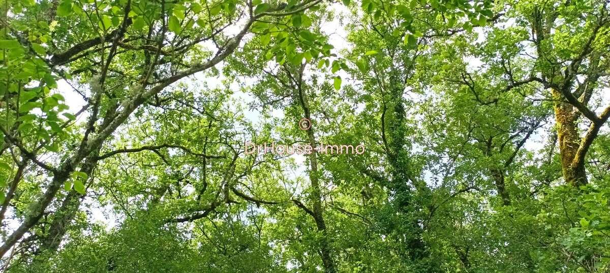 Terrain à MONTVALENT