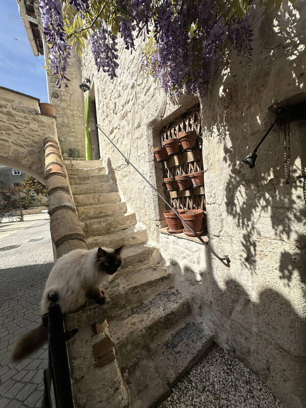 Maison à CHATEAUNEUF-DU-RHONE