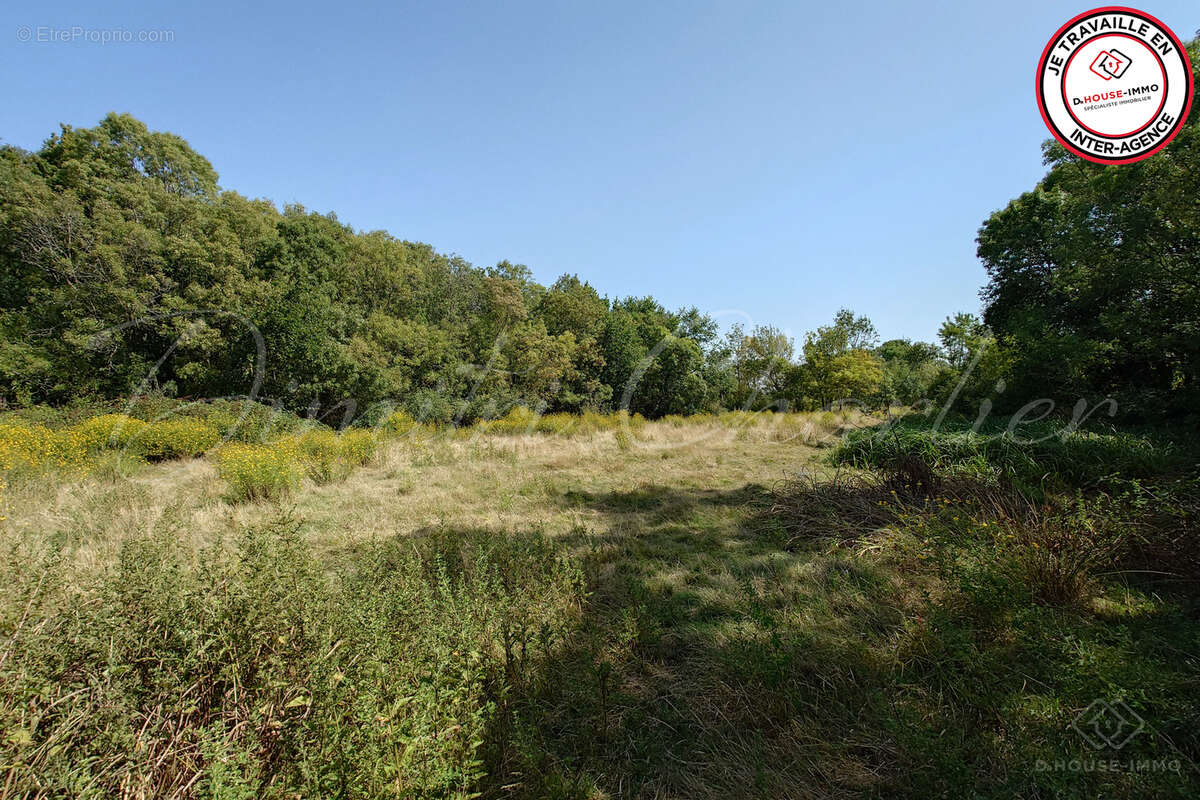Terrain à SAINT-VIVIEN-DE-MEDOC