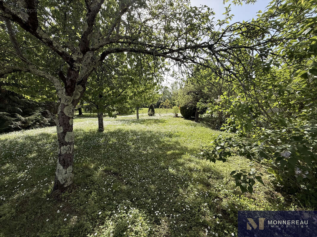 Ensemble immobilier au bord de la charente - photo 13