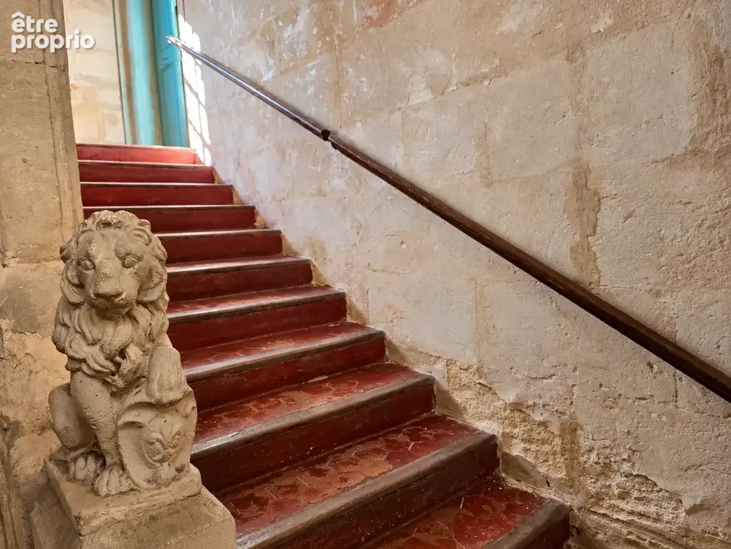 À vendre à Arles   Maison bourgeoise du XVIIe siècle de 315 m2 en centre historique - photo 1