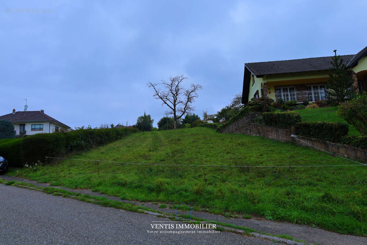 Terrain à DANNELBOURG