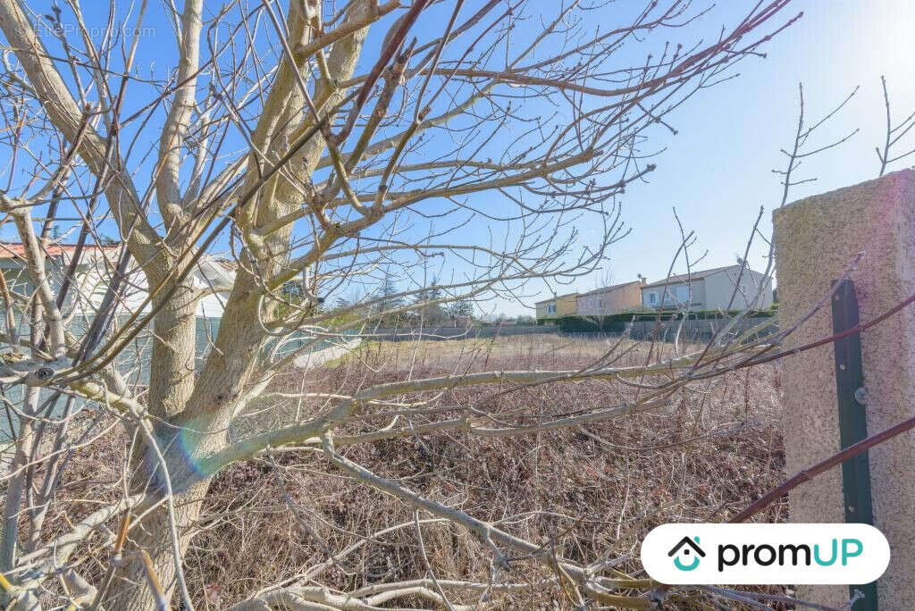 Terrain à LAURAGUEL