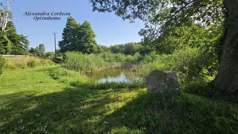 Ensemble immobilier de rapport – 3 logements et 2 hangars sur plus de 5 000 m²LA PELLERINE (49) - photo 3