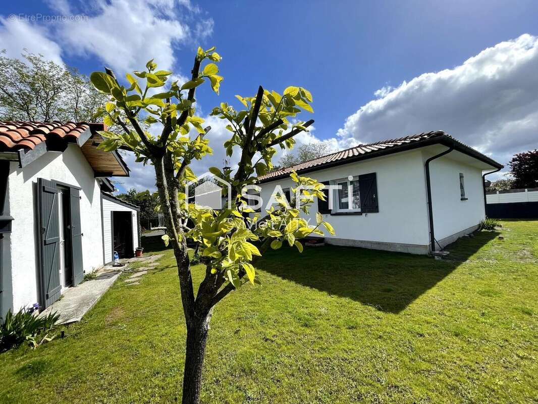 Photo 6 - Maison à ANDERNOS-LES-BAINS