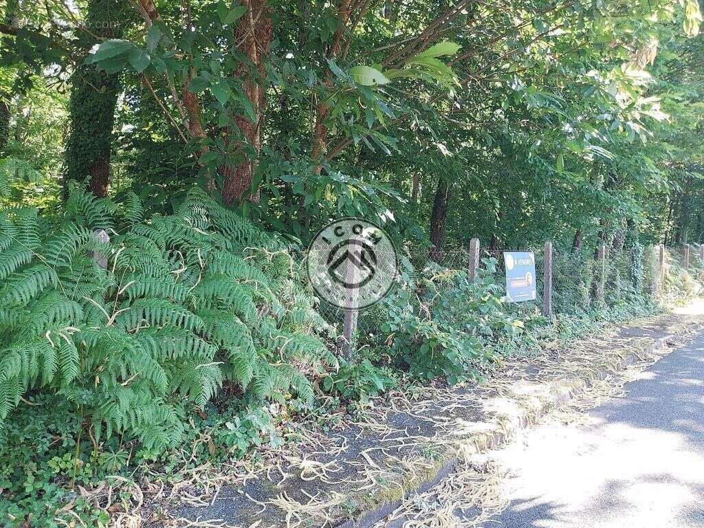 Terrain à COULOUNIEIX-CHAMIERS