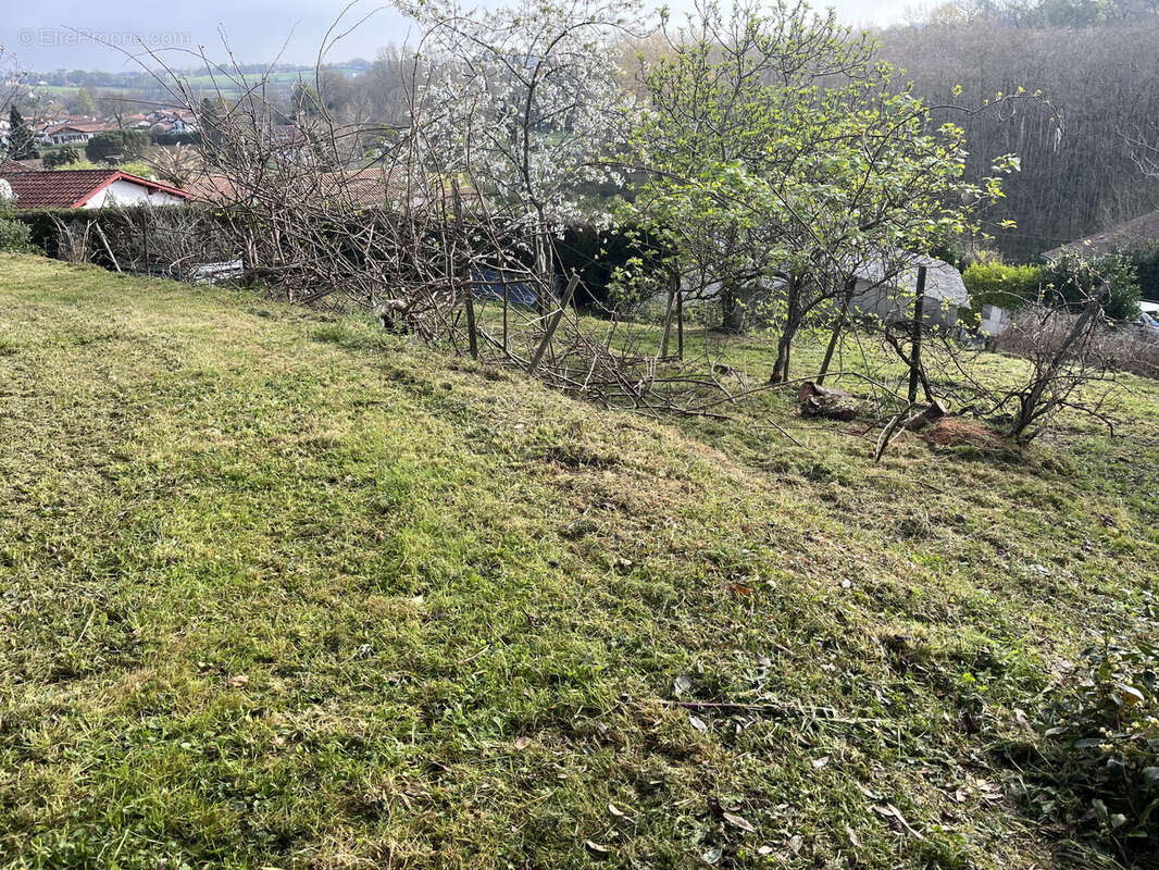 Terrain à AHETZE