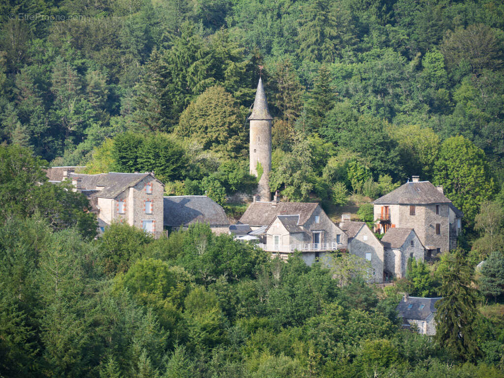 Maison à LA ROCHE-CANILLAC