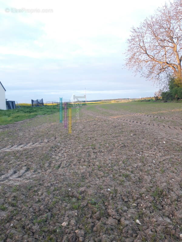 LUCHY - Terrain à LUCHY