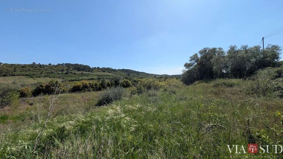 Terrain à CAZEDARNES