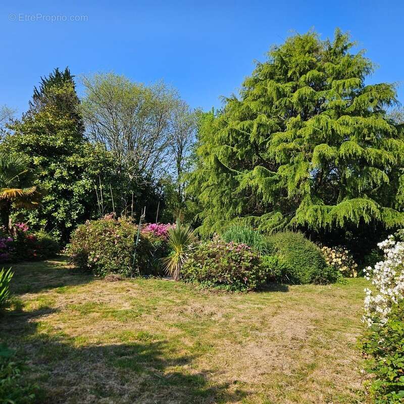 Maison au calme sur 3300 m2 de terrain arboré - photo 7