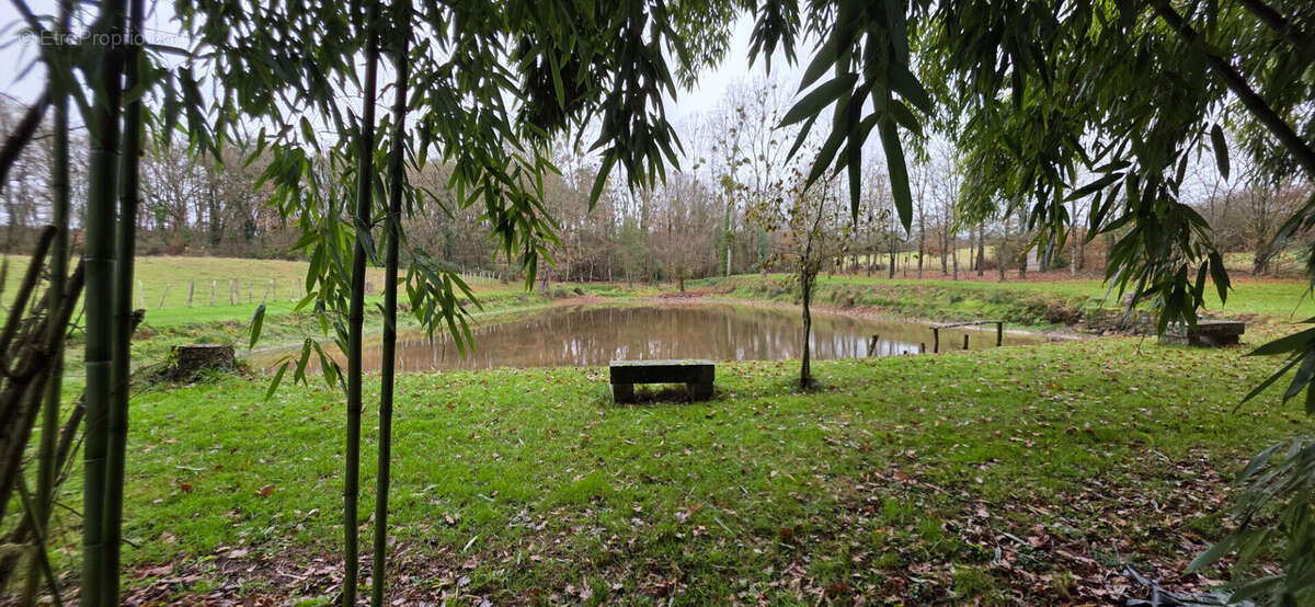 Terrain à TOURNON-SAINT-PIERRE