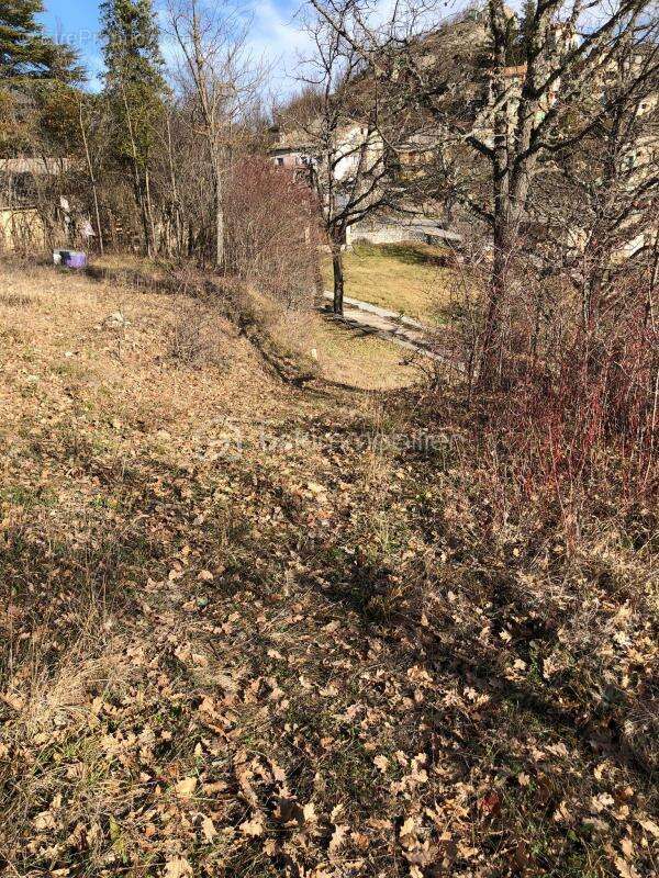 À Vendre - Terrain Constructible de 1 700 m² à Mujouls - photo 6