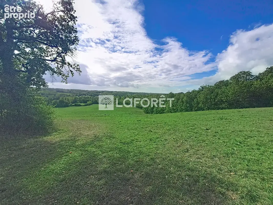 Propriété de 116 hectares !!! Monclar-de-Quercy - photo 7