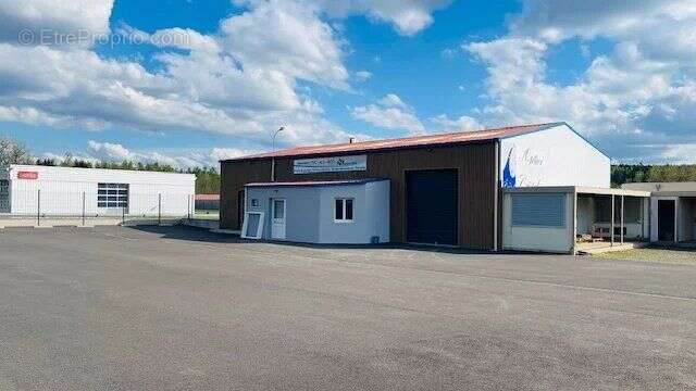 Commerce à BACCARAT