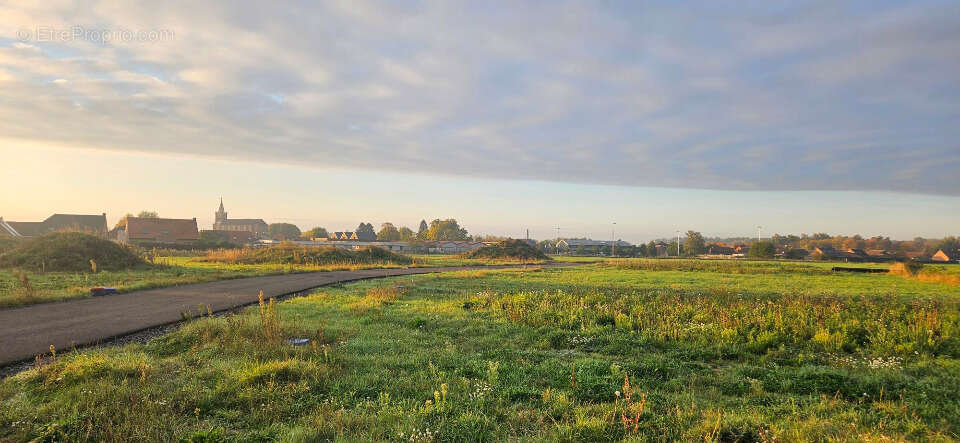 Terrain à MONTIGNY-EN-OSTREVENT