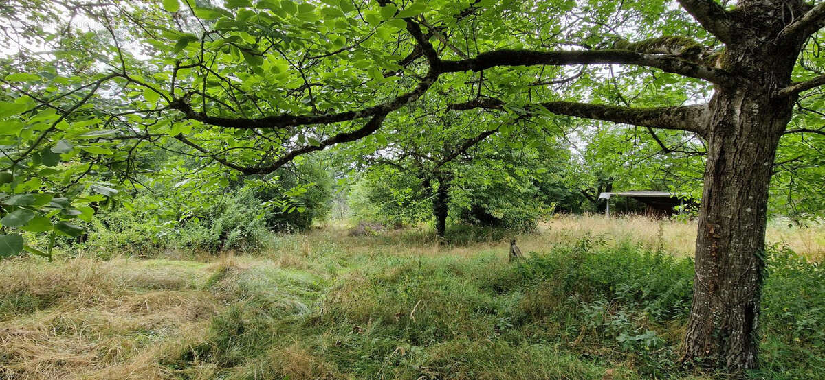 Terrain à TREPT