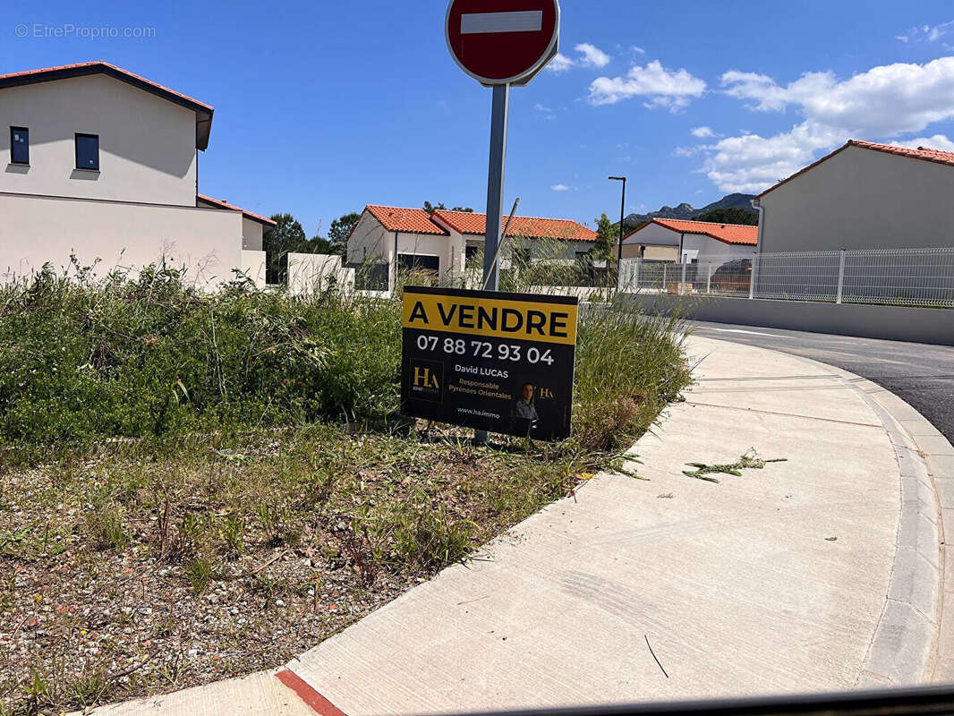 Terrain à LAROQUE-DES-ALBERES