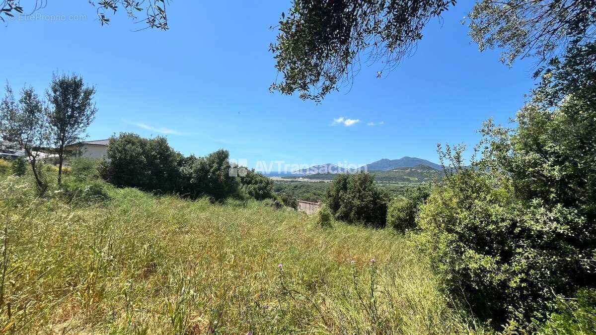 Terrain à BASTELICACCIA
