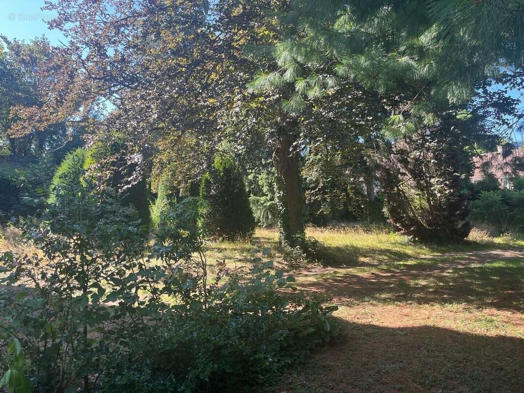 Appartement 85 m² à Autun  - photo 18