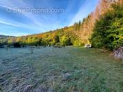 Terrain à DOULAINCOURT-SAUCOURT