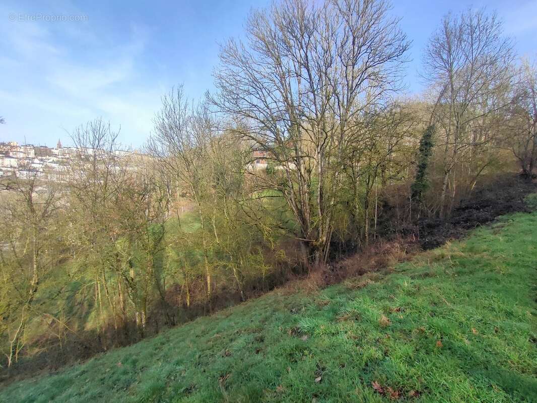 Terrain constructible et viabilise - photo 4