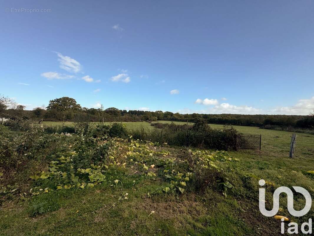 Photo 6 - Maison à LONGNY-AU-PERCHE