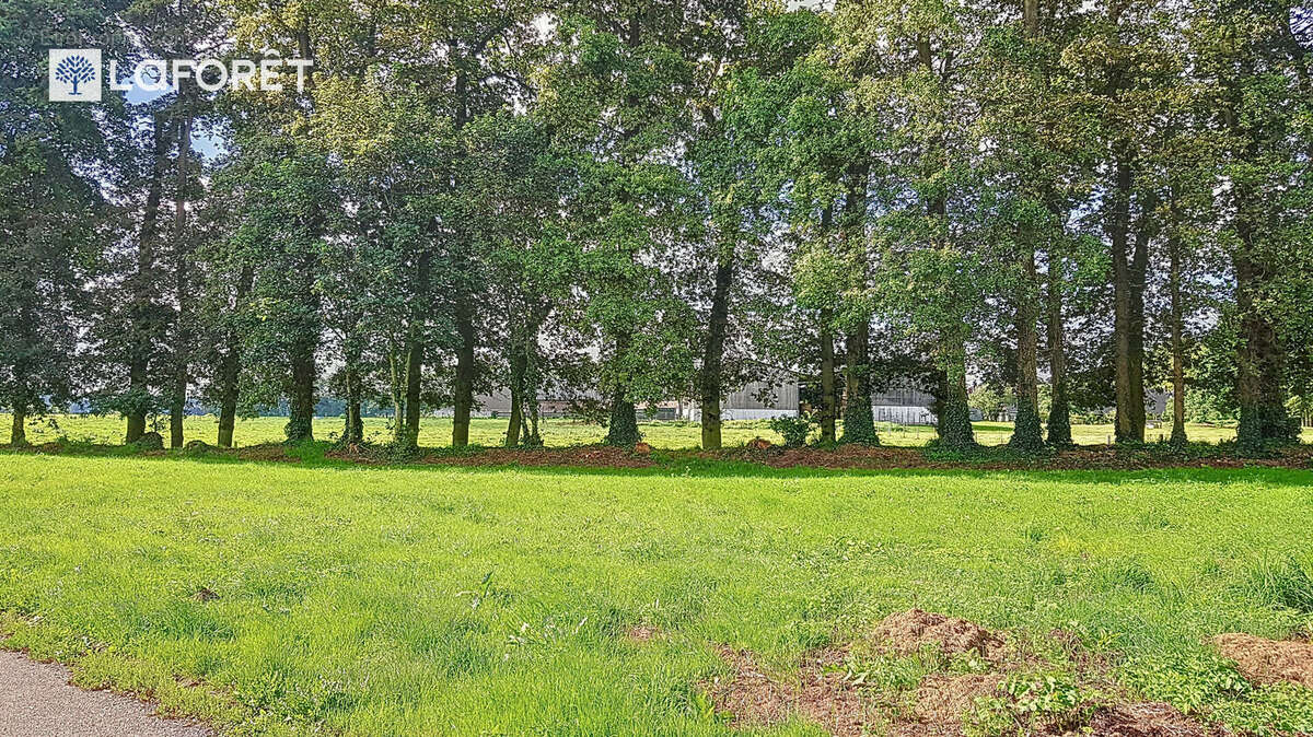 Terrain à FAUVILLE-EN-CAUX