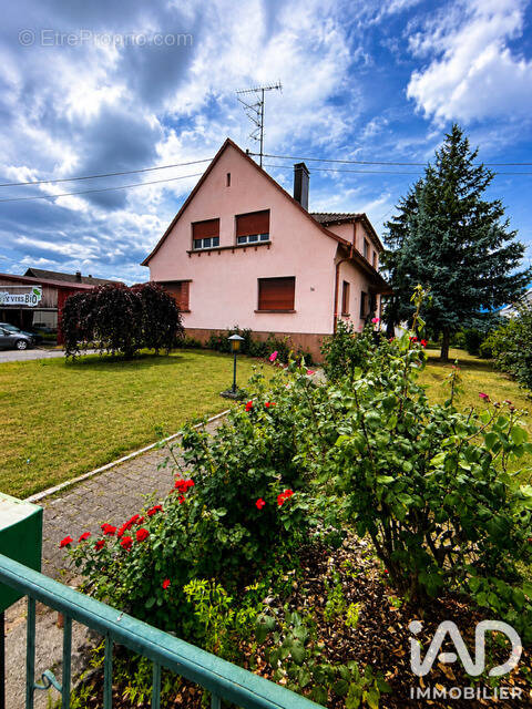 Photo 1 - Maison à INGERSHEIM