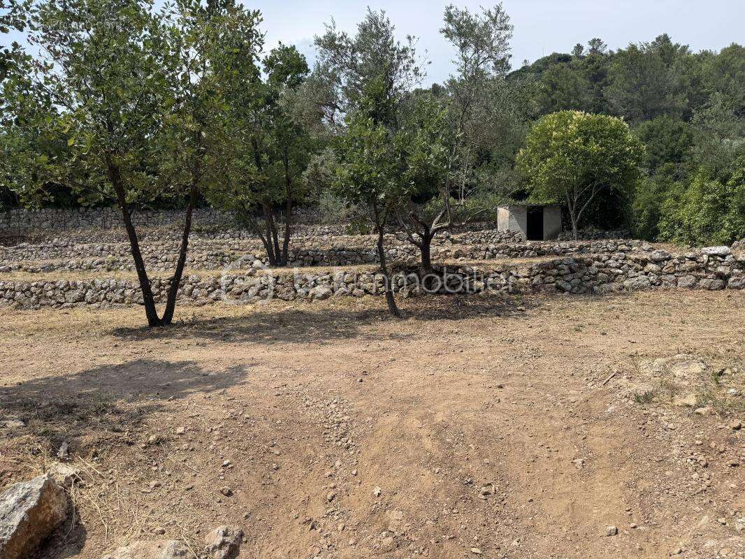 A BELGENTIER (83210) – Terrain constructible de 1 017 m² avec permis accordé pour villa, piscine et garage, vue dominante. Libre - photo 3