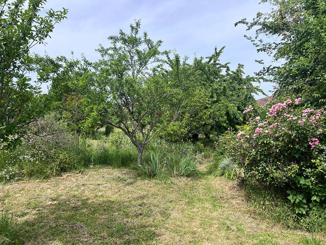 Terrain à MONTAINVILLE