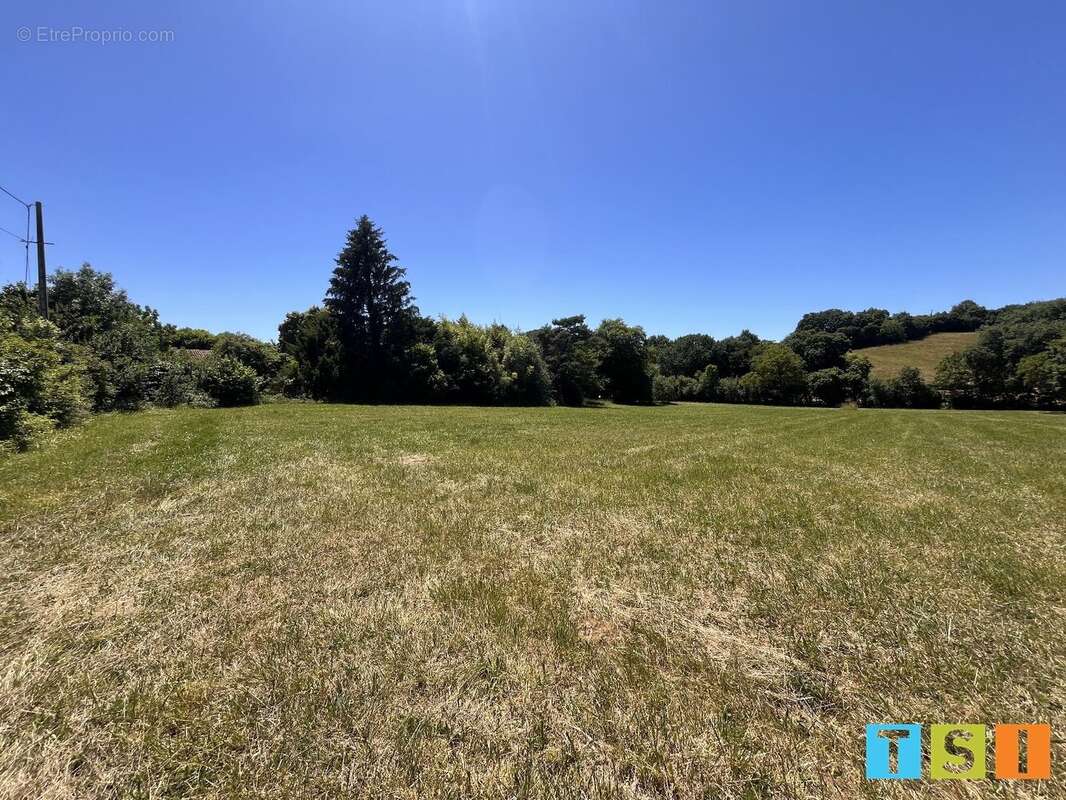 Terrain de 2918 m² à vendre - photo 2
