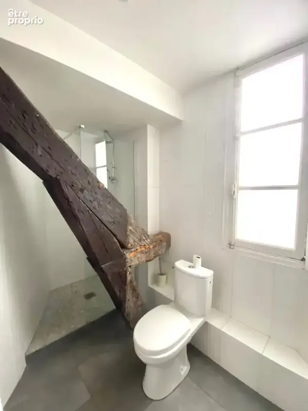 Duplex 50 m² avec terrasse - photo 11