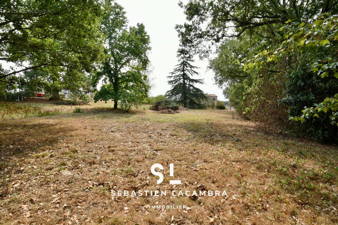 Cadalen   terrain à bâtir de 1 191 m2   un écrin de verdure sans vis-à-vis - photo 6