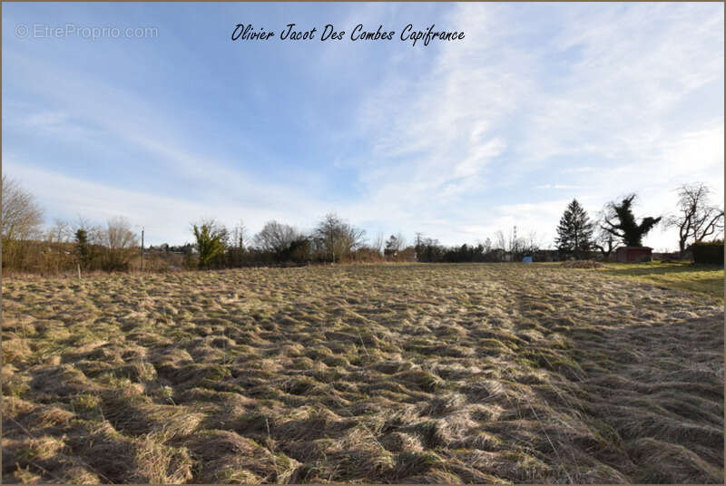 Terrain à MONTBELIARD