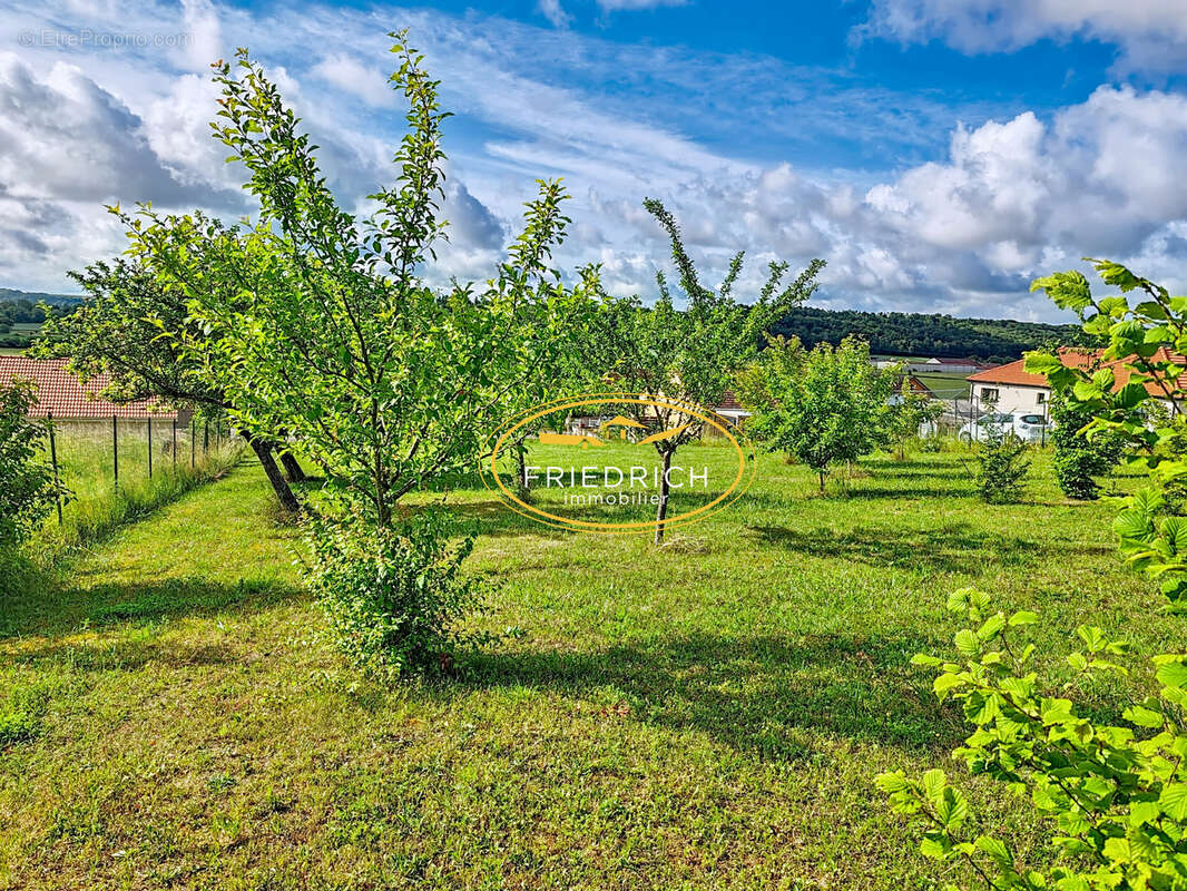Terrain à SAMPIGNY