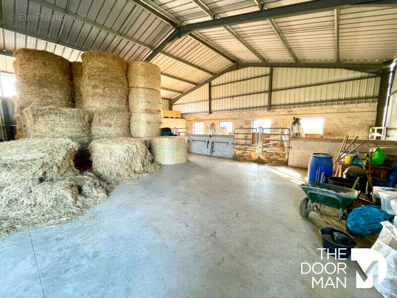 Commerce à RANCONNIERES