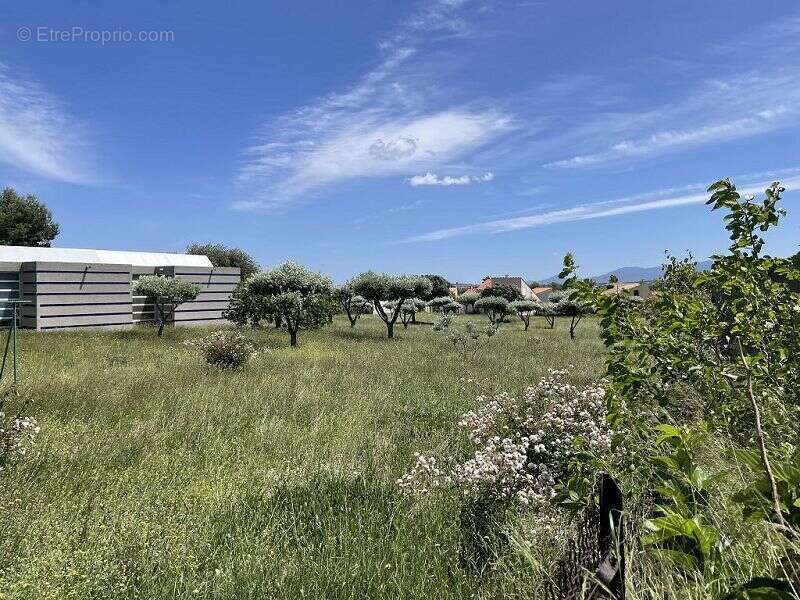 Terrain à SAINT-ESTEVE