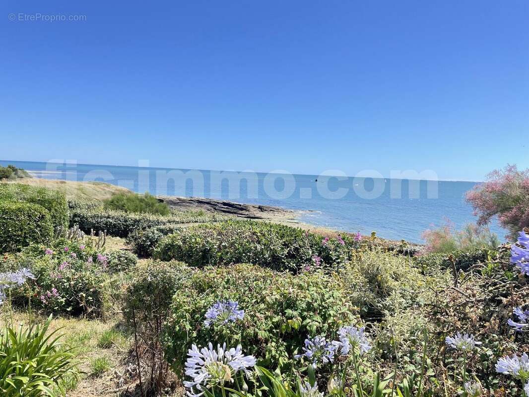 IMG_3384 - Maison à SAINT-GILDAS-DE-RHUYS