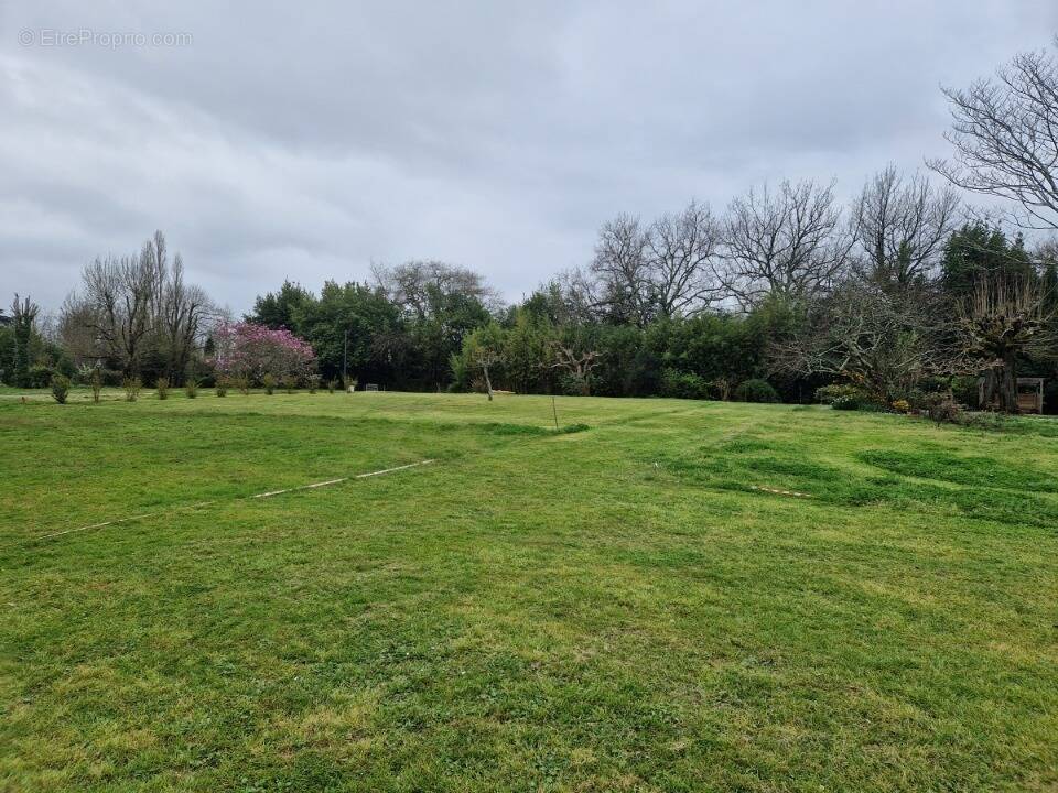 Terrain à MONTUSSAN