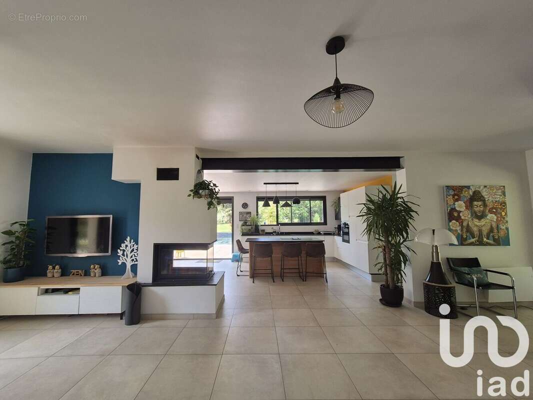 Maison 295 m² à Castelnau-D'estretefonds  - photo 7