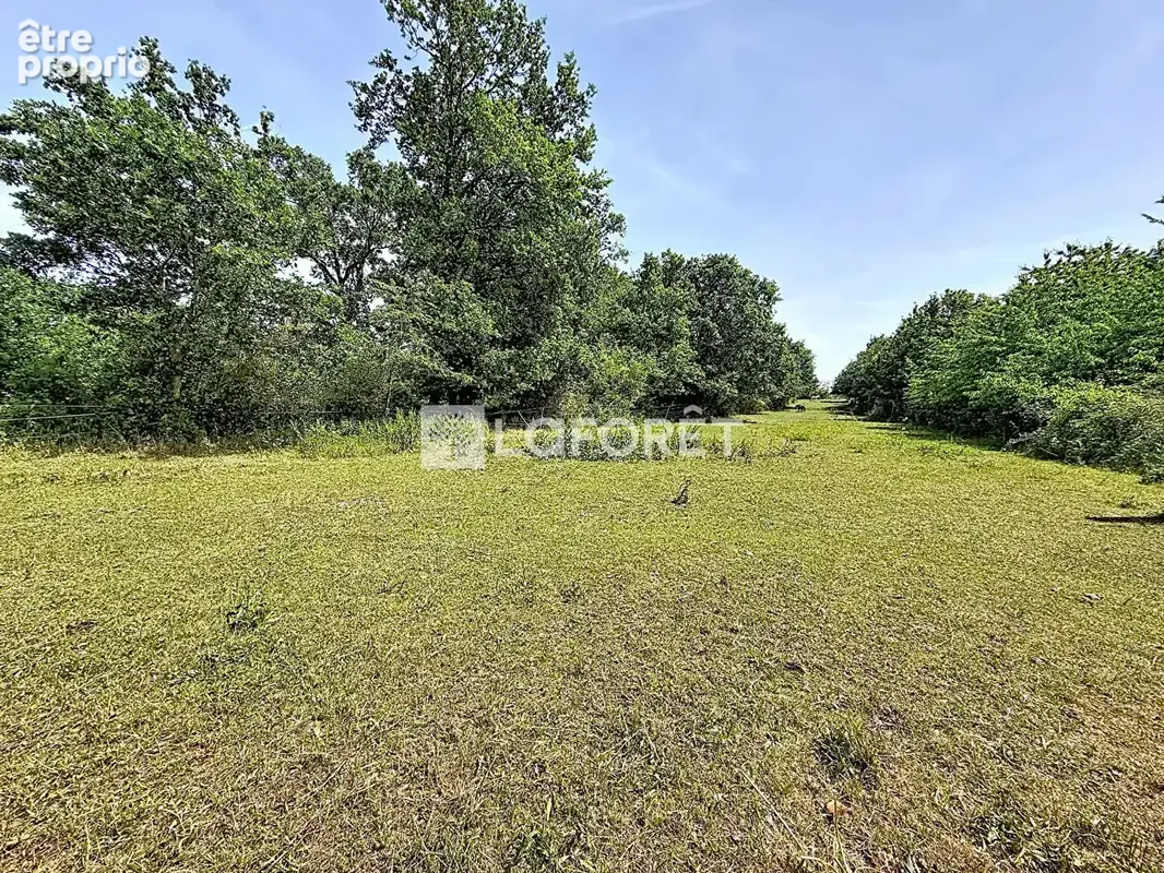 Maison Les Trois Lacs - photo 10