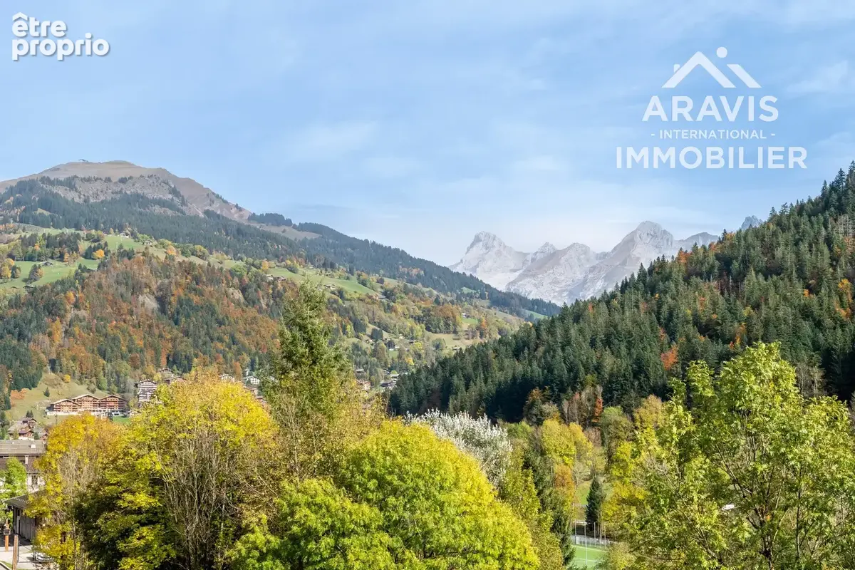Appartement T2 Le Grand-Bornand Village - photo 10