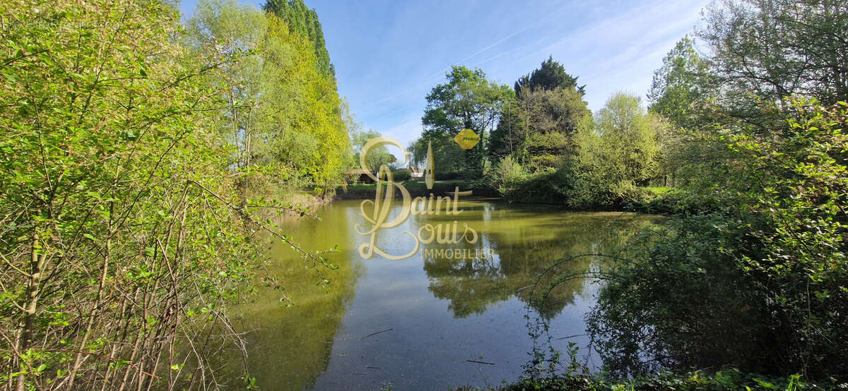 Terrain à CHAVEIGNES