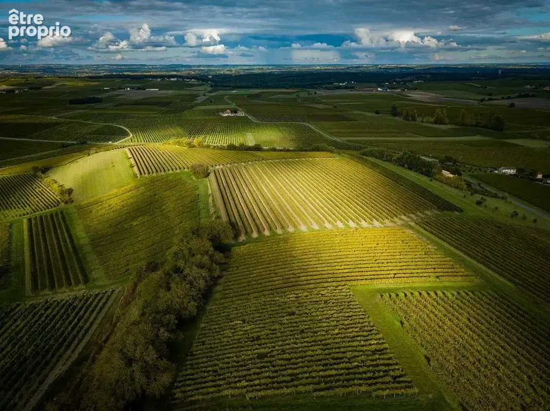 Terrain à LORREZ-LE-BOCAGE-PREAUX